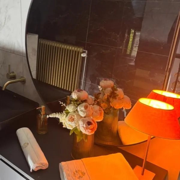 Sophia Rooms 14, Hotel in Maasmechelen