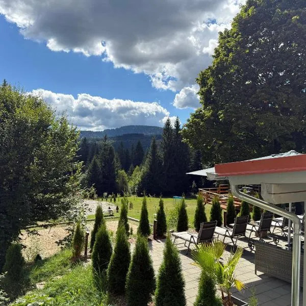 Maiers Hotel, hôtel à Bayerisch Eisenstein