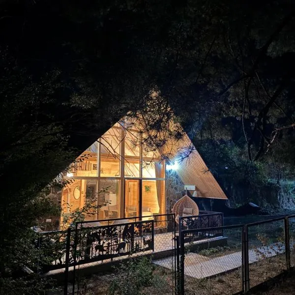 EcoCottage Didi Mindori - Among the Pines, hotel in Borjomi