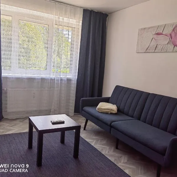 Next door airport apartment, hôtel à Karmėlava