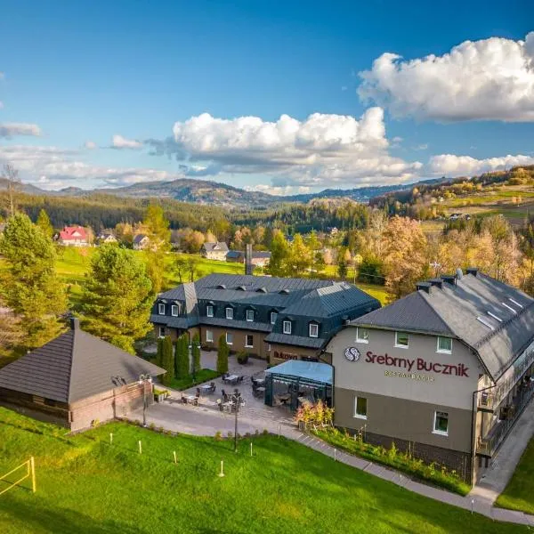 Srebrny Bucznik Wellness & Restaurant, hotel in Istebna