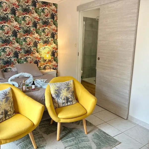 RIBA D'AUDE SPA privatif proximité aéroport et de la Cité médiévale, hotel in Carcassonne