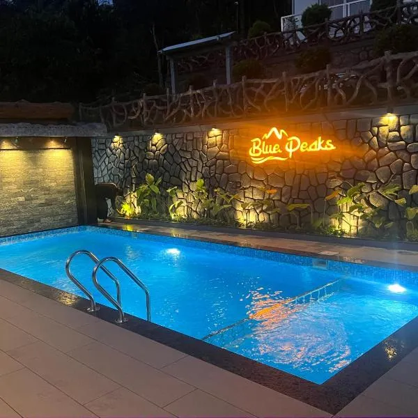 Blue Peaks Holidays Swimming Pool Cottage Munnar，位于蒙纳的酒店