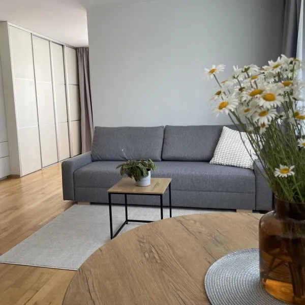 Šiaulių centre modernus butas 1-4 žmonėms, hôtel à Šiauliai