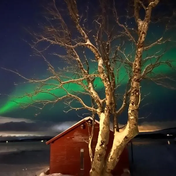 Charming place in Tromsø by the sea., hotel v destinaci Håkøybotn