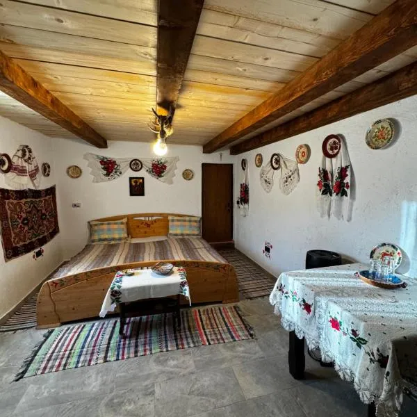 Casa Radu - Zece Hotare, hotel in Zece Hotare