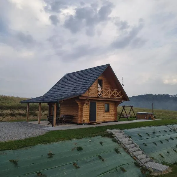 Noclegi Bieszczady, Domek na Bani 2, khách sạn ở Łukowe