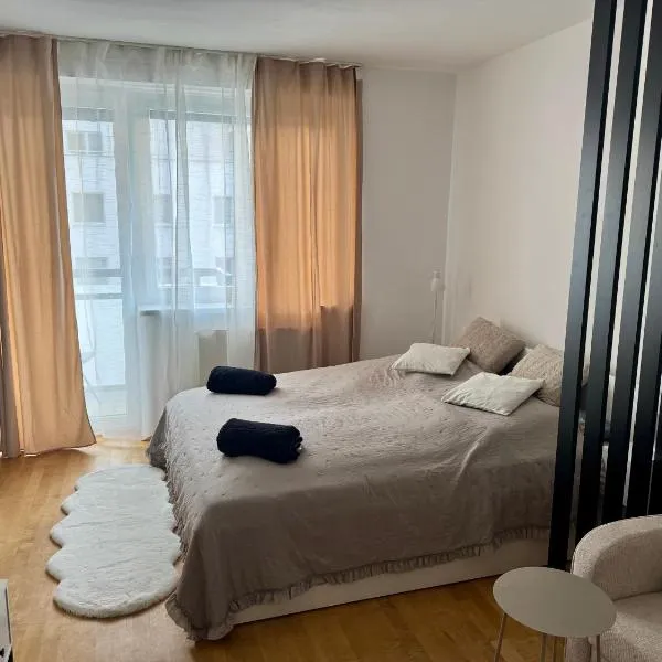 Apartment Riviéra 2 parking and smart check in, Hotel in Banská Bystrica