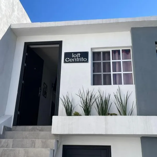 loft centrito, ξενοδοχείο σε Σαλτίγιο