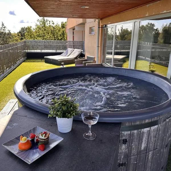 Delux Penthouse & SPA, Hotel in Riga