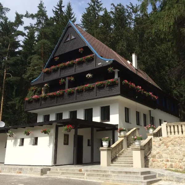 Hunting Lodge Vitkov, hotel in Sokolov