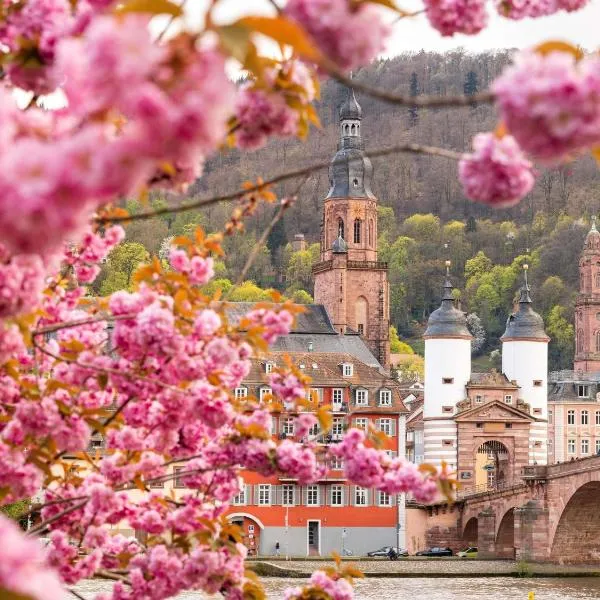 ibis Heidelberg Hauptbahnhof, ξενοδοχείο στη Χαϊδελβέργη