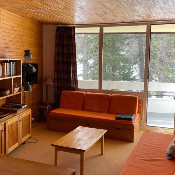 T3 aux Ecrins IV, skis aux pieds à Vars, hotel em Vars