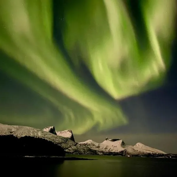 Efjord and Stetind Resort - Cabin Ocean, hotel in Ballangen