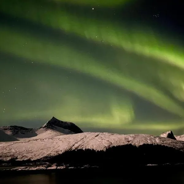 Efjord and Stetind Resort - Cabin Kulhorn, ξενοδοχείο σε Ballangen