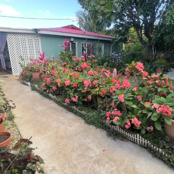 Zzz, hotel em Ha‘alalo