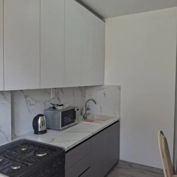 AeroHome Moldova- Taxi, hotel in Chişinău