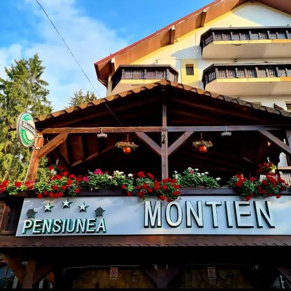 Pensiunea Montien, hotel in Predeal