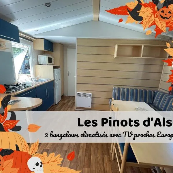 Les Pinots d'Alsace - 3 bungalows climatisés avec TV - Proche Europa Park、Boofzheimのホテル