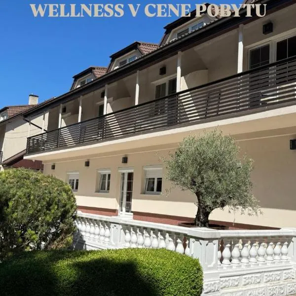 Penzión Odysea, hotel ve Vinném