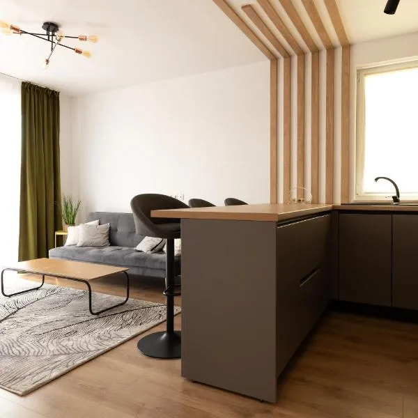 Nest Inn Emerald Apartment, hotel in Baia Mare