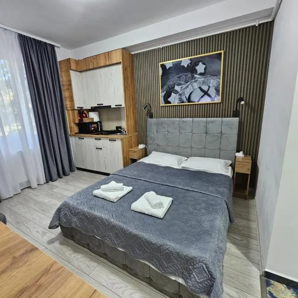 AchiDav 133, hôtel à Onești