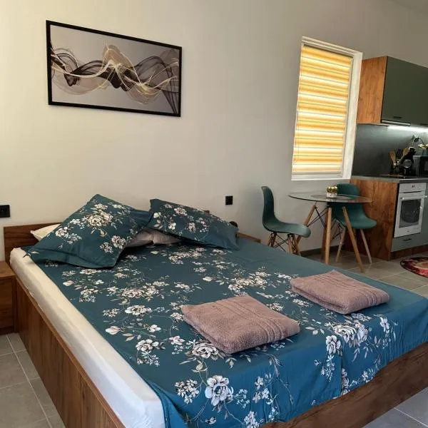 Alex Apartment, Hotel in Weliko Tarnowo