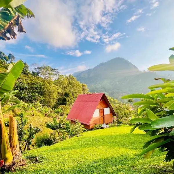 Hotel Cabañas Villa Loe Jardín, hotel in Jardin
