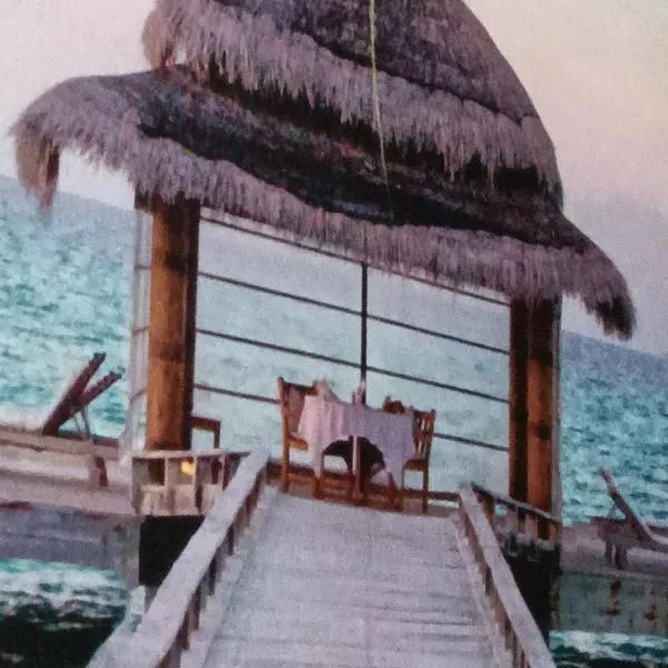 Hotel hasmit, hotel u gradu Manali