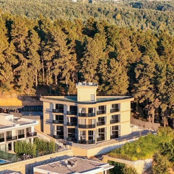 Sapanora Hotel, hotel i Sapanca