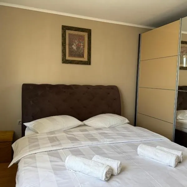 Casa Larisa Borsa, hôtel à Borsa