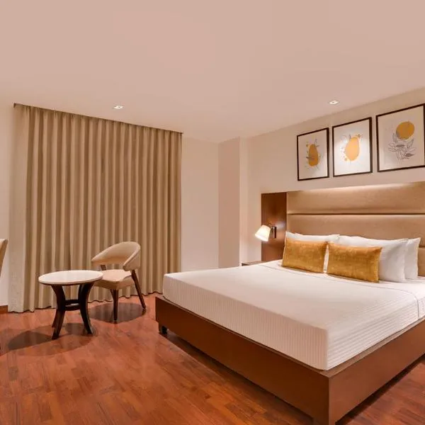 Hotel NYSA Benzo Plaza Near Delhi Airport, hotel in New Delhi