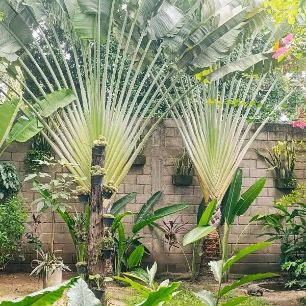 Hermoso Palomino, ξενοδοχείο σε Palomino