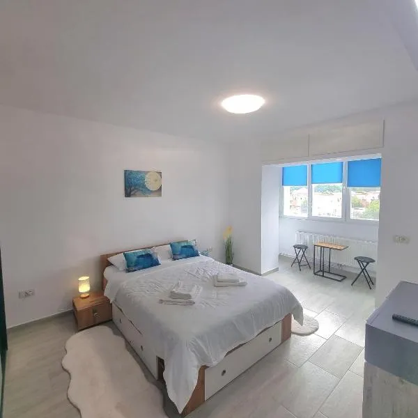 Modern Studio - to AquaPark Amazonia, Babeş Hospital and Cardiology, Hotel in Timişoara