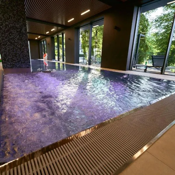 Polanica Park Apartament 309、ポラニツァ・ズドルイのホテル