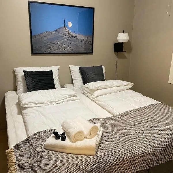 Big central house, free parking, wifi, 3 bedrooms，位于纳尔维克的酒店