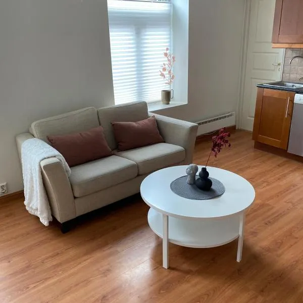 Central bus station apartment, wifi, tv，位于纳尔维克的酒店