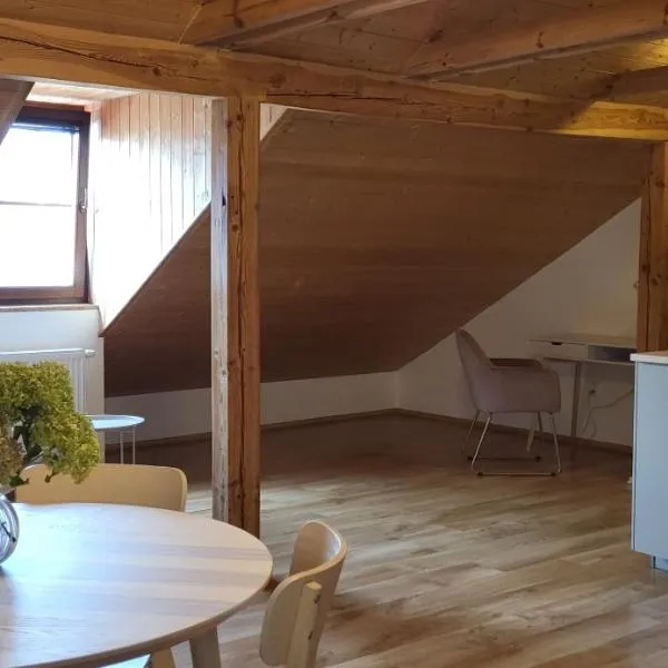 Podkrovní byt v centru Litomyšle, hotel v Litomyšli