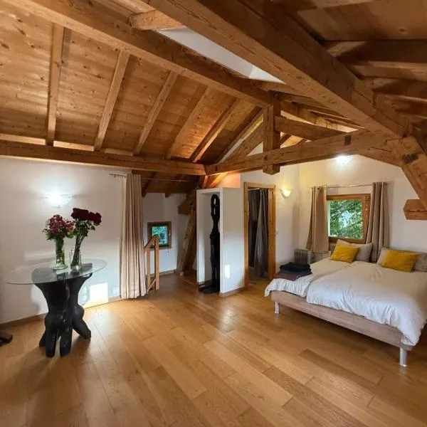 Séjour paisible près de Genève, hotel in Neydens