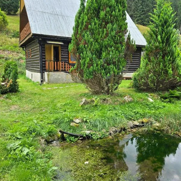 Chata pri jazierku - Cottage by the Little Lake, hotel en Nižná Boca