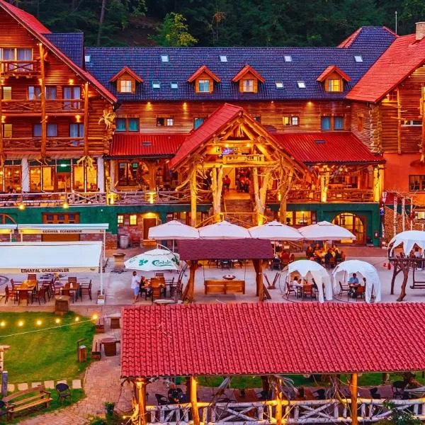 Conacul Radacinilor, hotel in Petroşani
