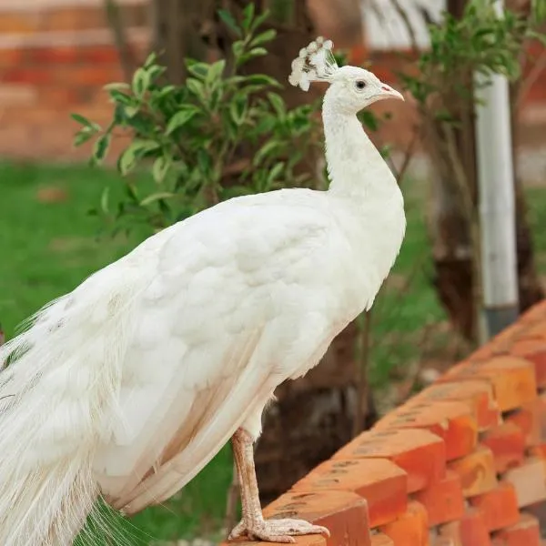 The Haven Boutique Hotel & Venue, hotel em Kumasi