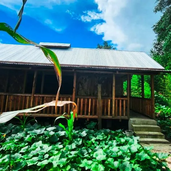 Dorm and Rooms for Ziro Music Festival, hotel em Ziro