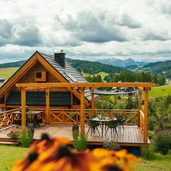 Houten Vakantiewoning "ReisnaarPolen" royaal ontbijt, sauna en Hottub, hotel in Czarna Góra