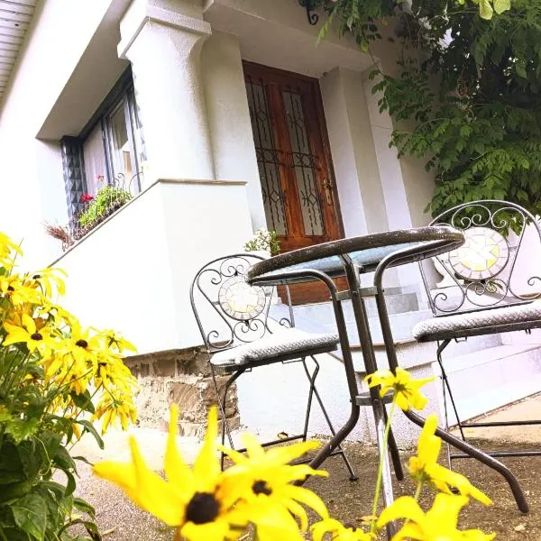 Casa cu trandafiri, Hotel in Baia Mare