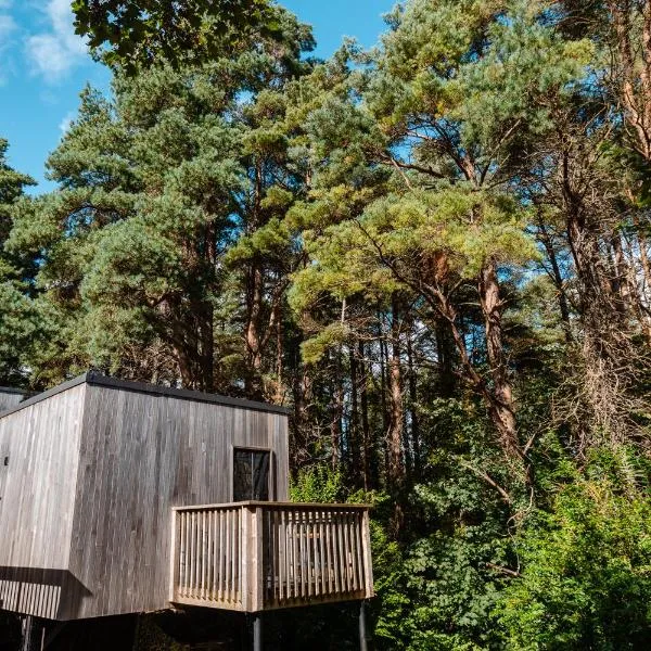 Burrenmore Nest - Luxury Forest Lodges with Hot Tubs & Sauna, hôtel à Castlerock