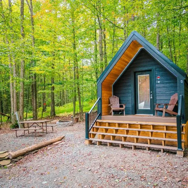 A-frame 1, hotel v destinaci Gaines