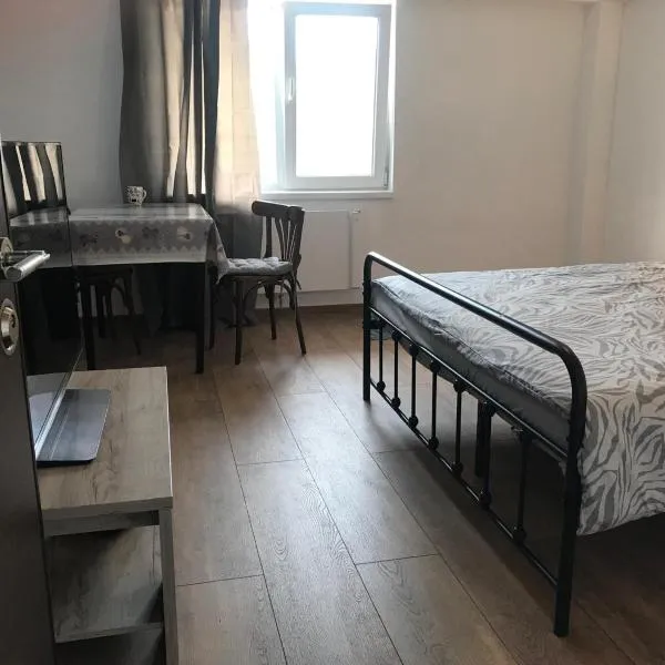 The Ozzy Room, ξενοδοχείο στο Μπρασόβ