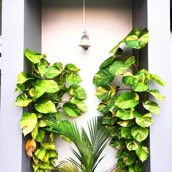 Downtown Manor-Panavila, hotel v destinaci Trivandrum