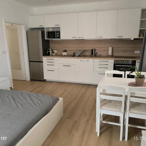 Modern comfort in the heart of the city of Dvůr Králové nad Labem，位于拉贝河畔皇宫镇的酒店